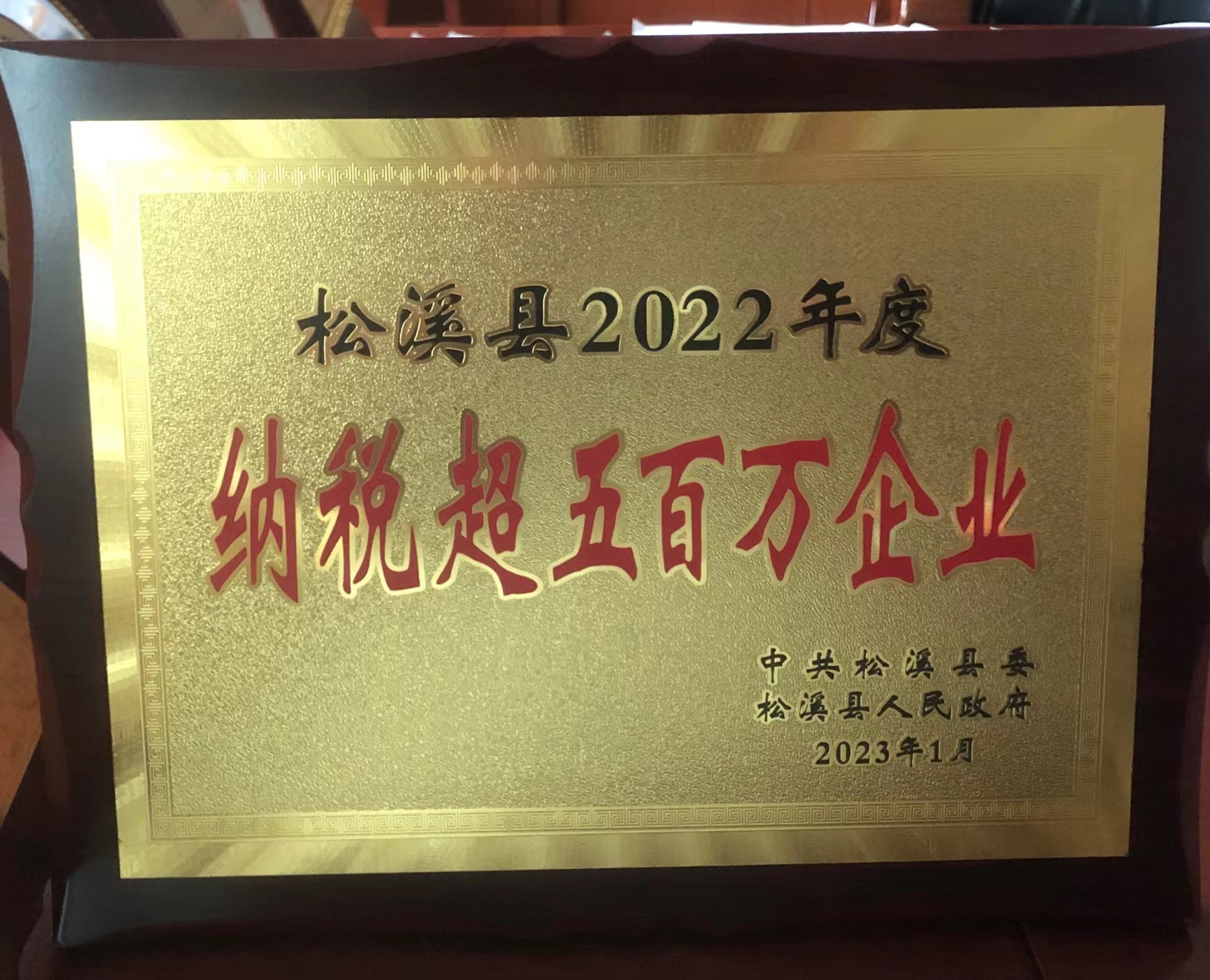 喜報(bào)！易順建工集團(tuán)喜獲“松溪縣2022年度納稅超五百萬企業(yè)”榮譽(yù)